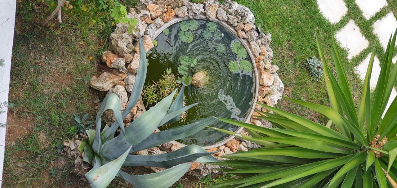 Irini Studios Georgioupoli Bagian luar foto